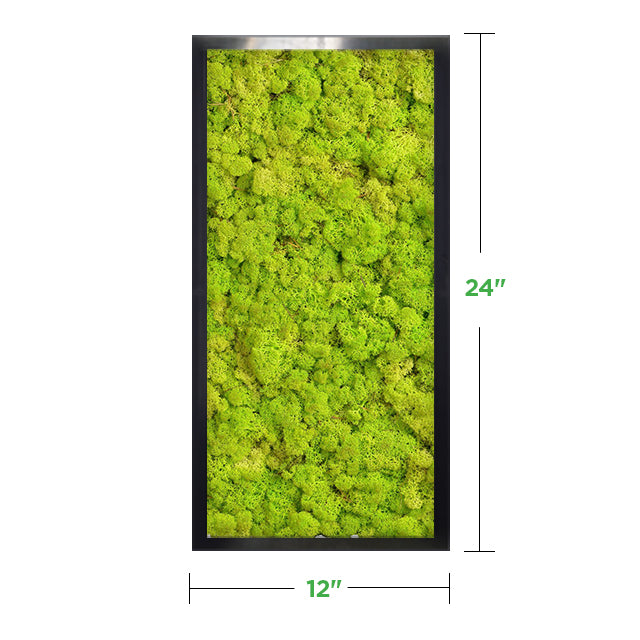 12" x 24" Moss Wall Art Panel Kit