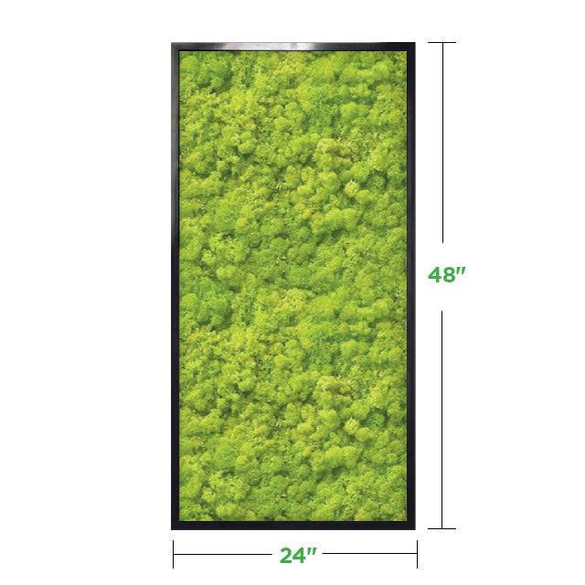 48" x 24" Moss Wall Art Panel Kit
