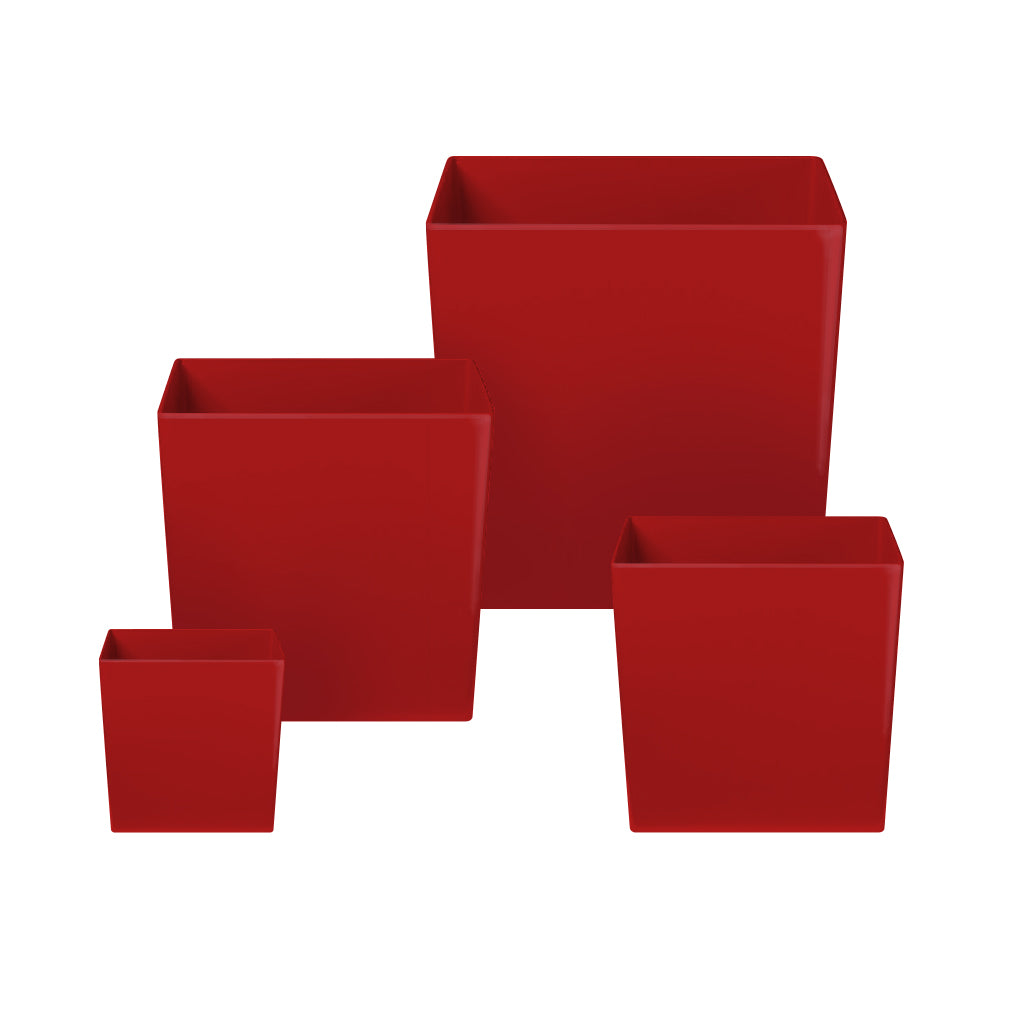 Rise Cube