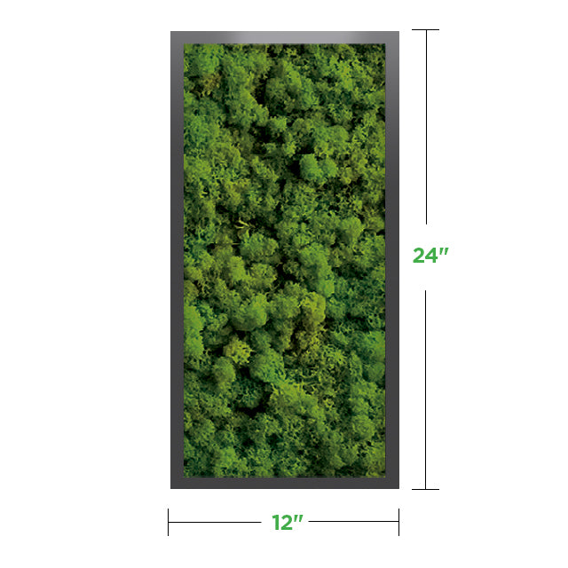 12&quot; x 24&quot; Moss Wall Art Panel Kit
