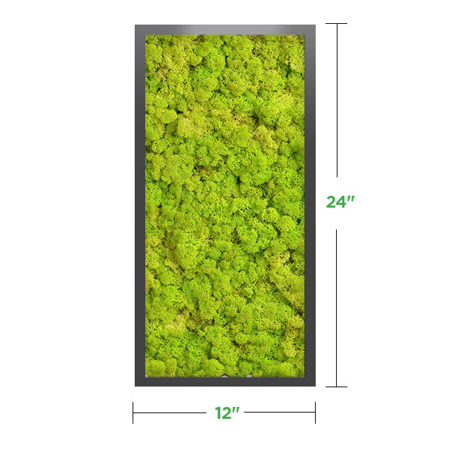 12&quot; x 24&quot; Moss Wall Art Panel Kit