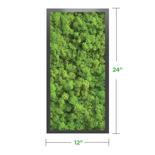 12&quot; x 24&quot; Moss Wall Art Panel Kit