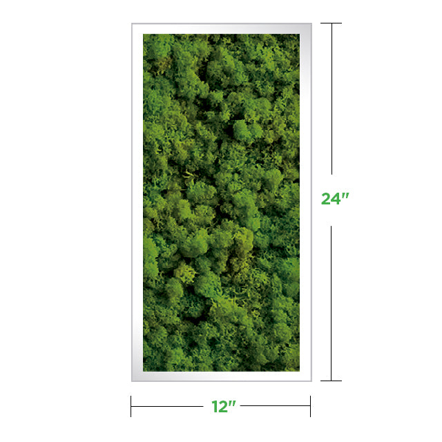 12 x 24 Moss Wall Art Panel Kit - Botanicus Green