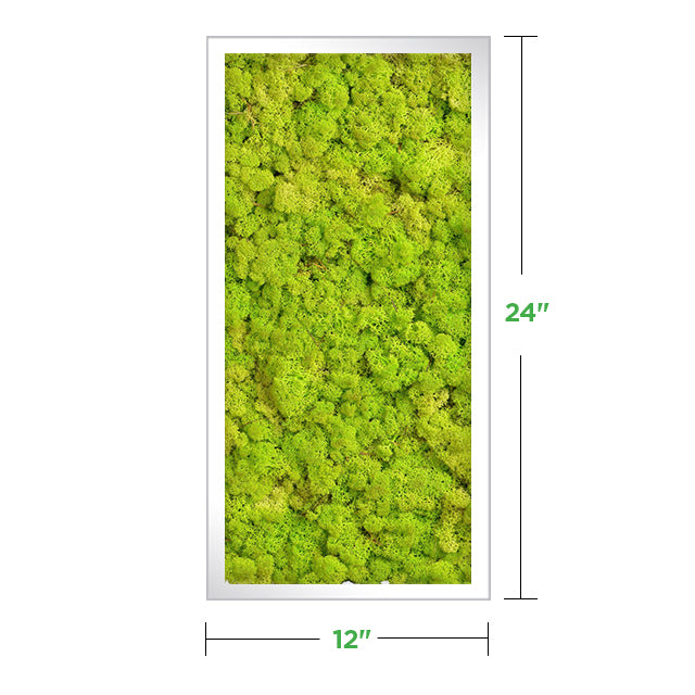 24 x 24 Moss Wall Art Panel Kit - Botanicus Green