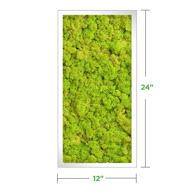 12&quot; x 24&quot; Moss Wall Art Panel Kit