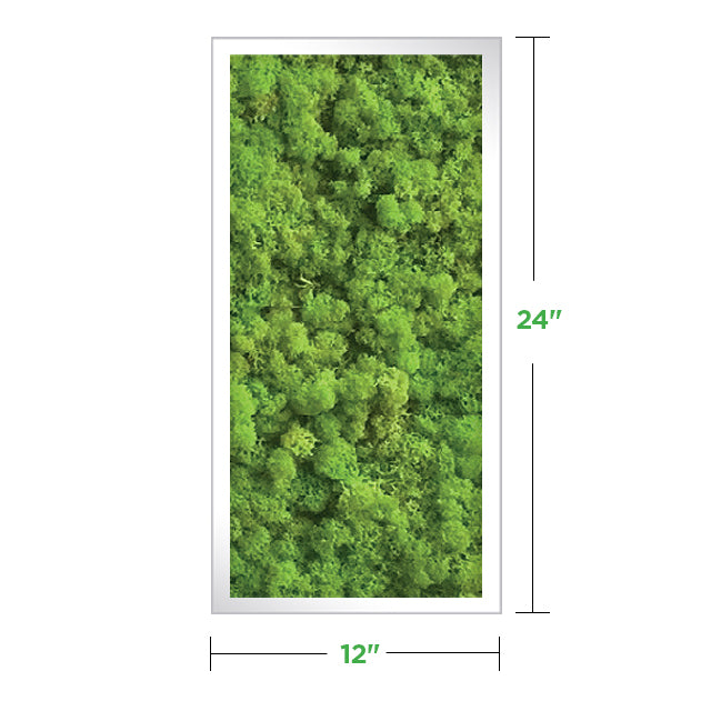 12&quot; x 24&quot; Moss Wall Art Panel Kit
