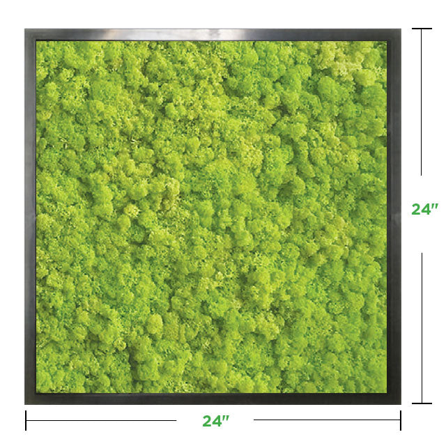 24&quot; x 24&quot; Moss Wall Art Panel Kit