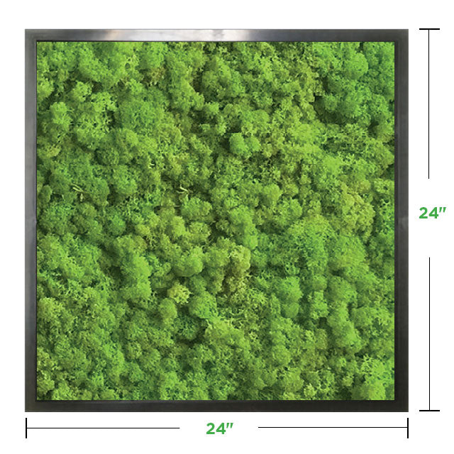 24 x 24 Moss Wall Art Panel Kit - Botanicus Green