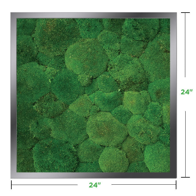 24&quot; x 24&quot; Moss Wall Art Panel Kit