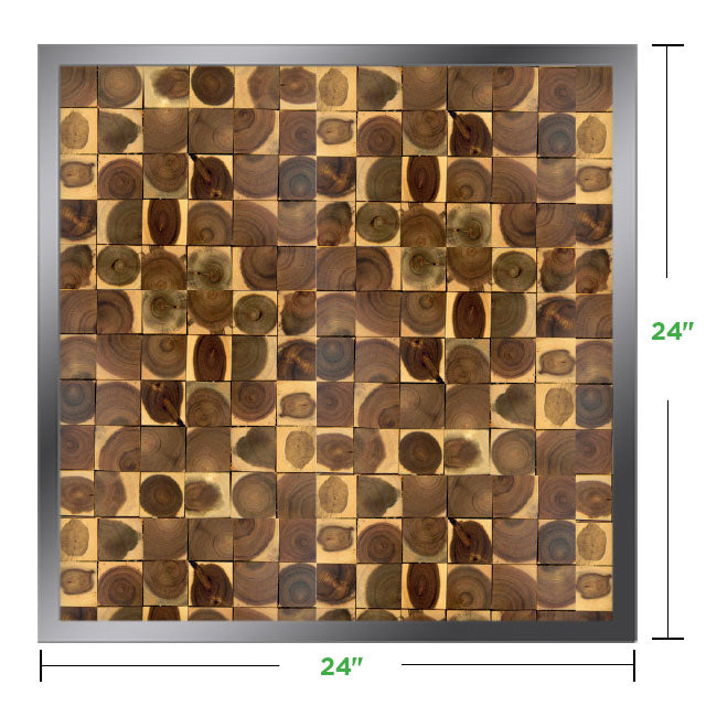 24&quot; x 24&quot; Moss Wall Art Panel Kit