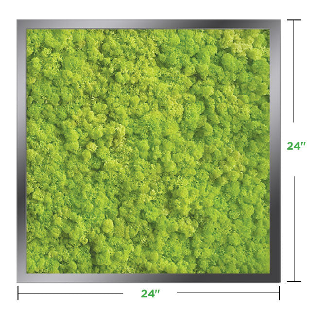 24&quot; x 24&quot; Moss Wall Art Panel Kit