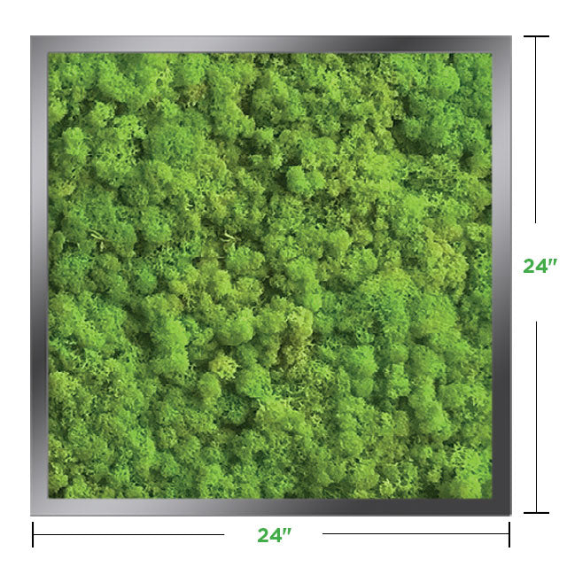 24&quot; x 24&quot; Moss Wall Art Panel Kit