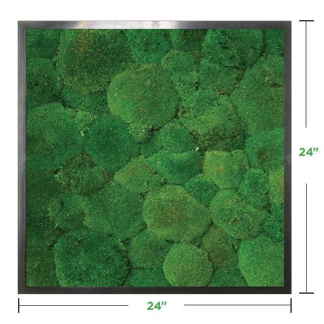 pole moss wall 24" x 24" Moss Wall Art Panel Kit