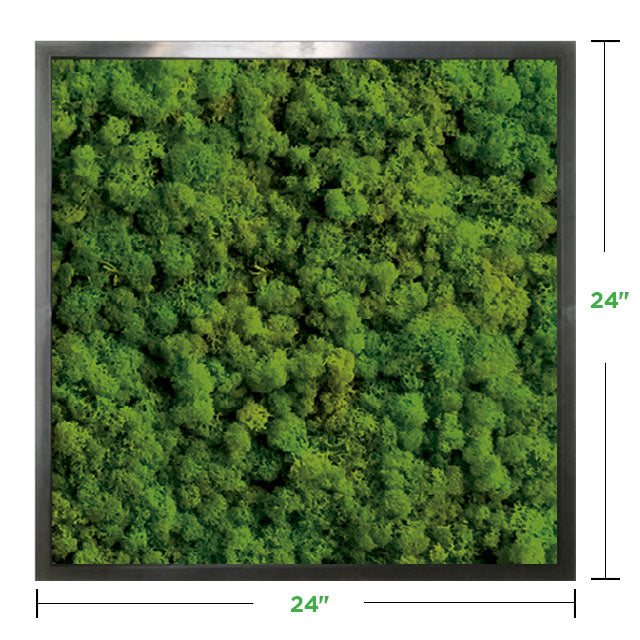 24&quot; x 24&quot; Moss Wall Art Panel Kit