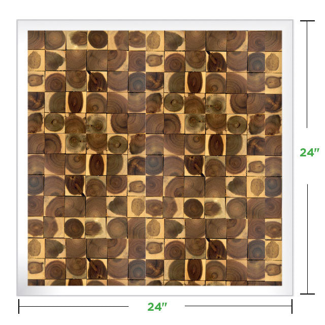 24&quot; x 24&quot; Moss Wall Art Panel Kit