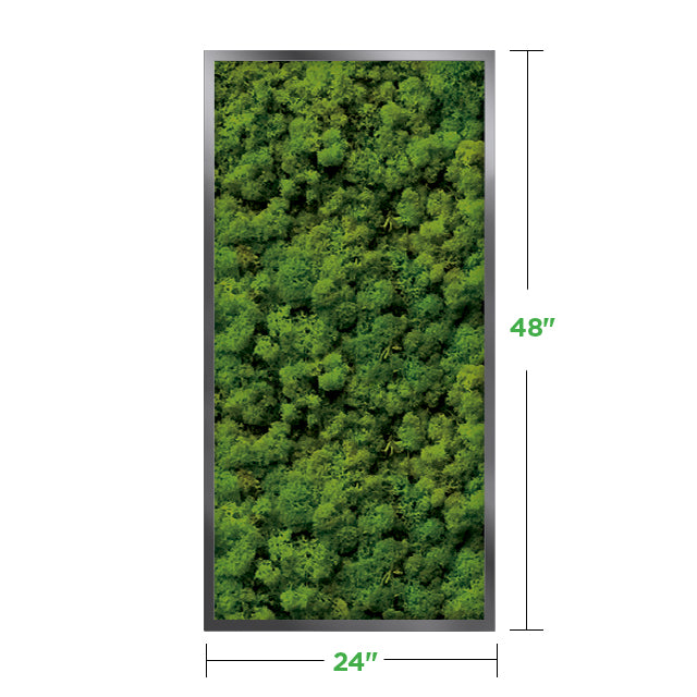 48&quot; x 24&quot; Moss Wall Art Panel Kit