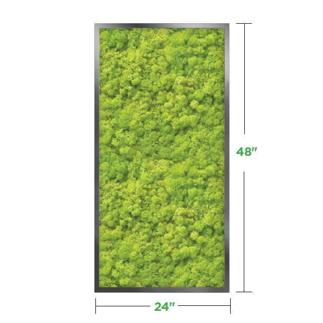 48&quot; x 24&quot; Moss Wall Art Panel Kit