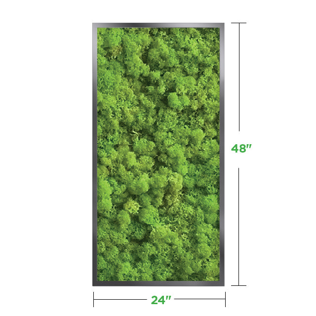 48&quot; x 24&quot; Moss Wall Art Panel Kit