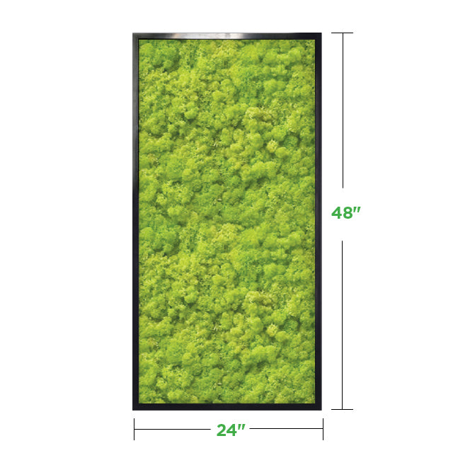 48&quot; x 24&quot; Moss Wall Art Panel Kit