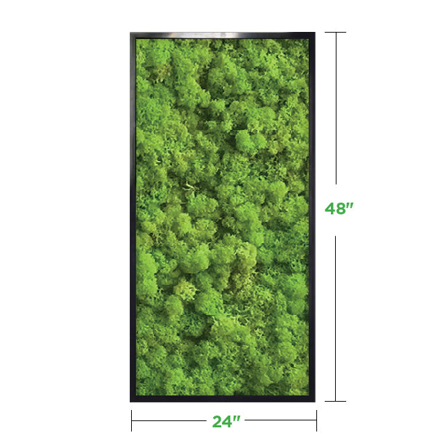 48&quot; x 24&quot; Moss Wall Art Panel Kit