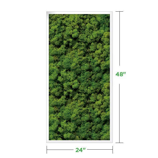 48&quot; x 24&quot; Moss Wall Art Panel Kit