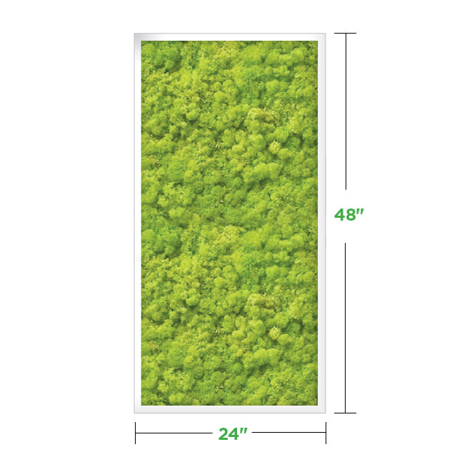 48&quot; x 24&quot; Moss Wall Art Panel Kit