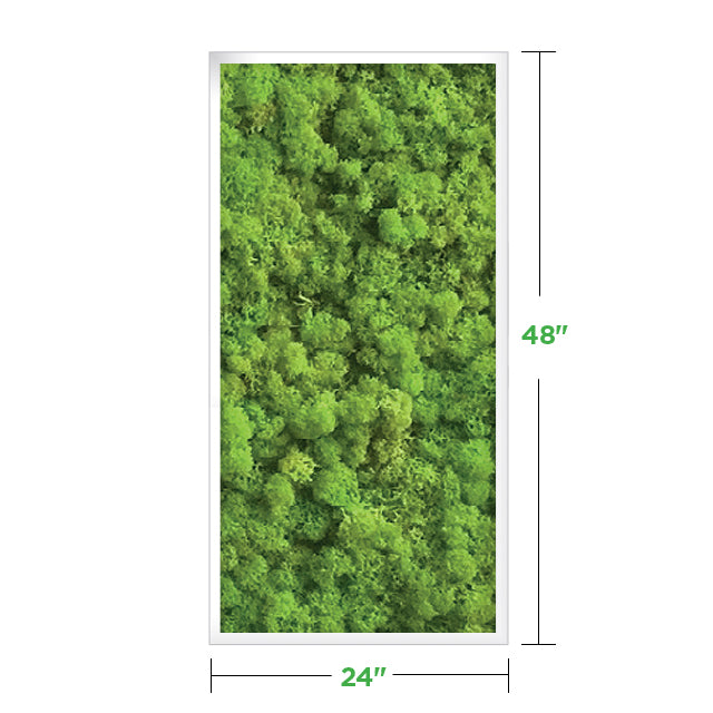 【green room】アート　額付 71A2B0XmTOL._UF350,350_QL80_.jpg