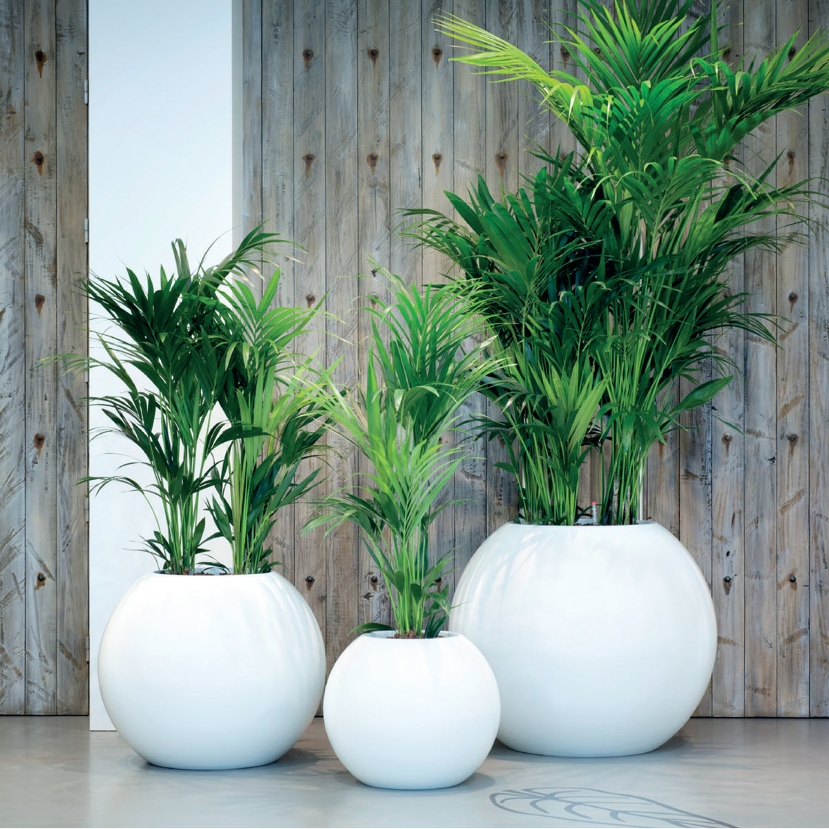 earth sphere planters in White Gloss finish