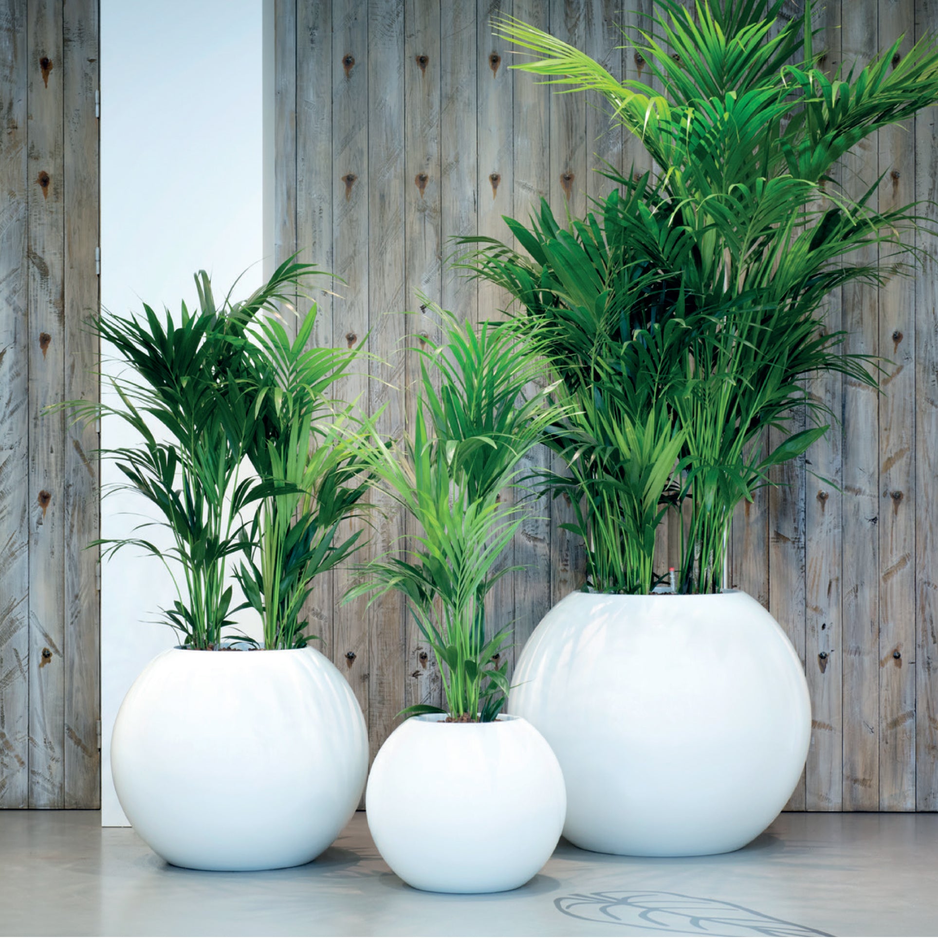 large sphere plant pot Earth Sphere Planters
