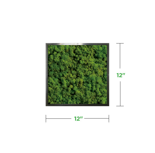 12&quot; x 12&quot; Moss Mini Wall Art Panel Kit (minimum order of 2)