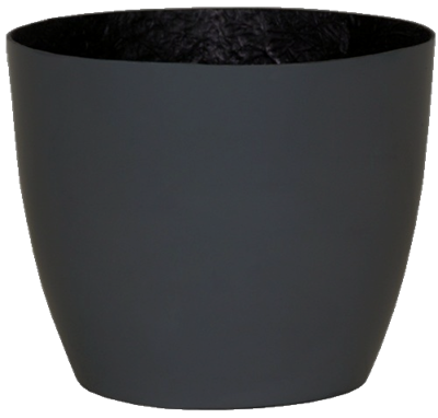 Optimum One Cylinders - Gloss - Botanicus