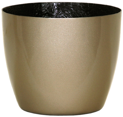 Optimum One Cylinders - Metallic - Botanicus