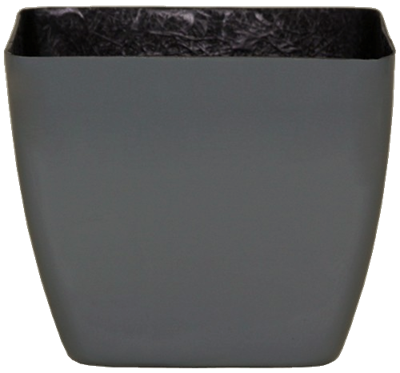 Optimum One Squares - Gloss - Botanicus