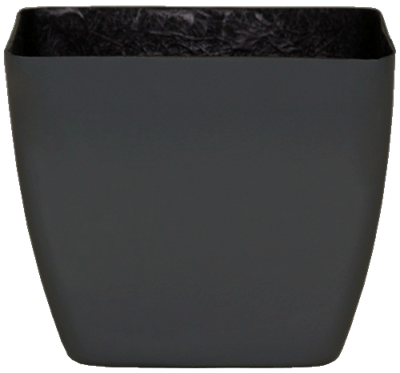 Optimum One Squares - Gloss - Botanicus