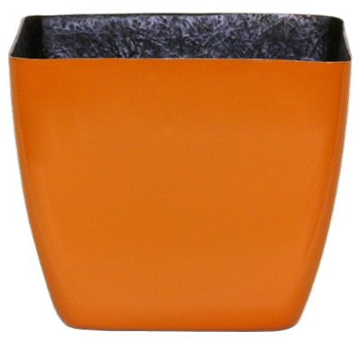 Optimum One Squares - Gloss - Botanicus