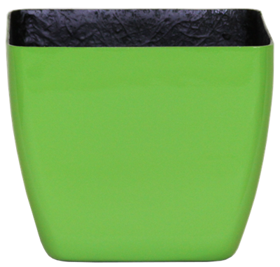 Optimum One Squares - Gloss - Botanicus