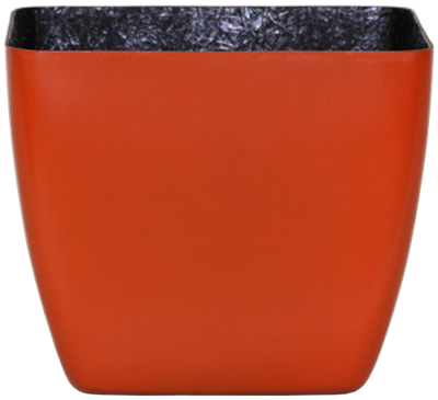 Optimum One Squares - Matte - Botanicus