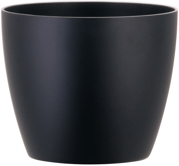 Phoenix Cylinder - Matte - Botanicus