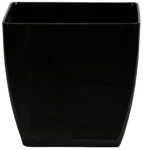 Phoenix Square - Gloss - Botanicus