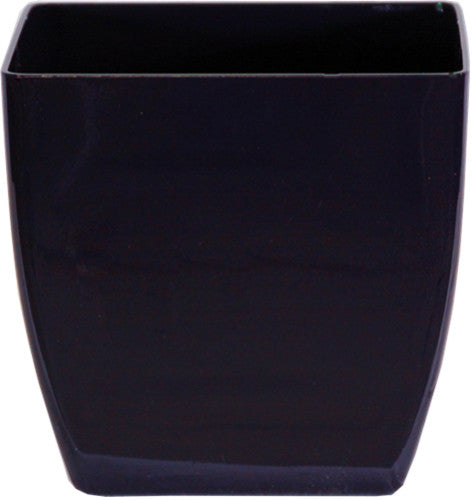 Phoenix Square - Gloss - Botanicus