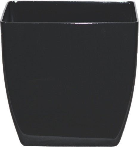 Phoenix Square - Gloss - Botanicus