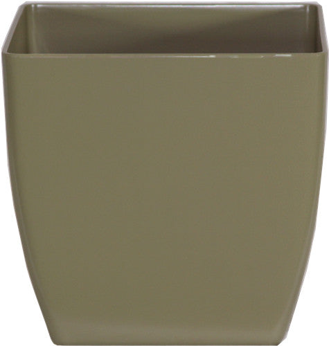 Phoenix Square - Matte - Botanicus