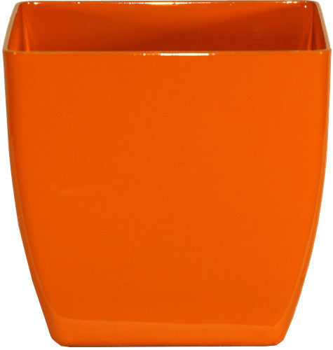 Phoenix Square - Gloss - Botanicus