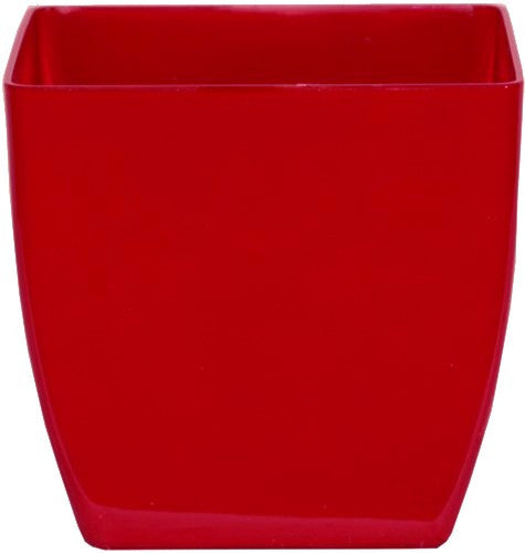 Phoenix Square - Gloss - Botanicus