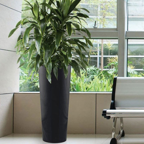 Phoenix Tall Vase - Metallics - Botanicus