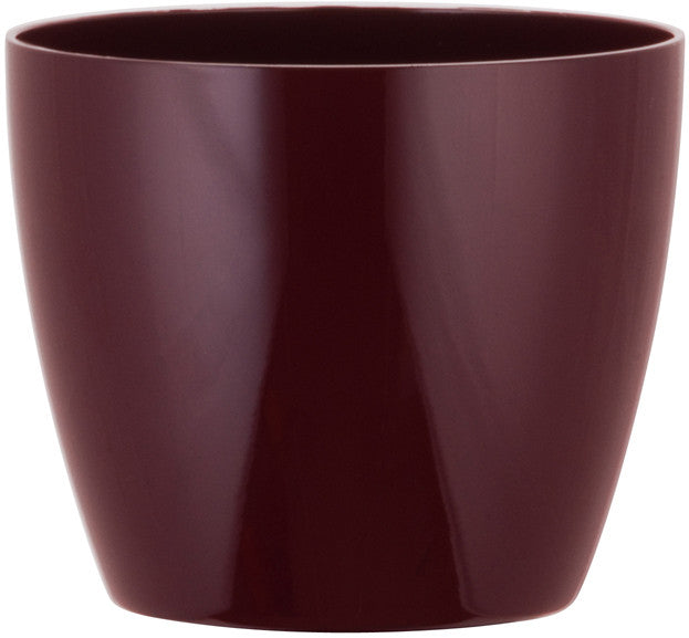 Phoenix Cylinder - Gloss - Botanicus