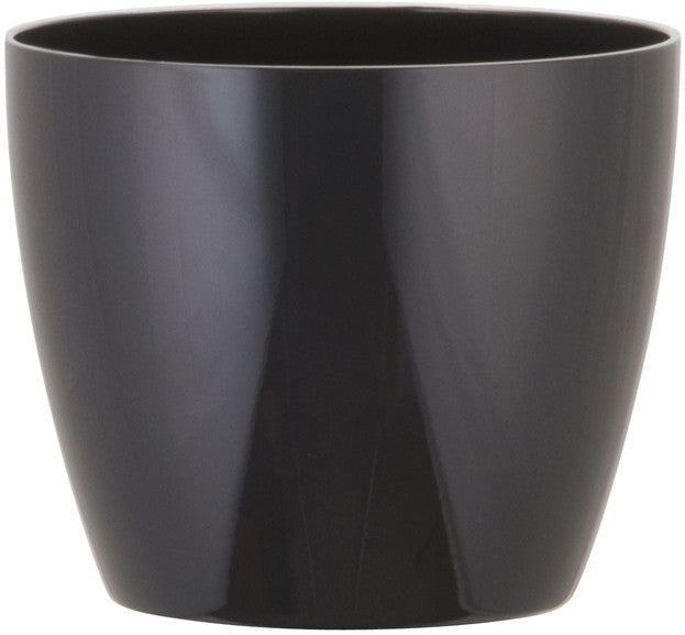 Phoenix Cylinder - Gloss - Botanicus