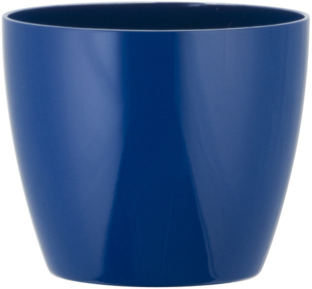 Phoenix Cylinder - Gloss - Botanicus