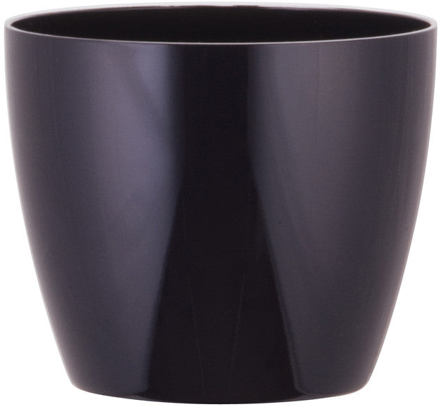 Phoenix Cylinder - Gloss - Botanicus