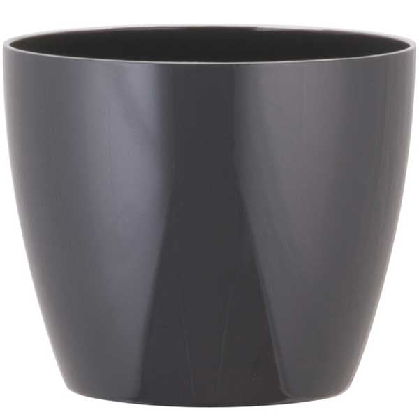 Phoenix Cylinder - Gloss - Botanicus